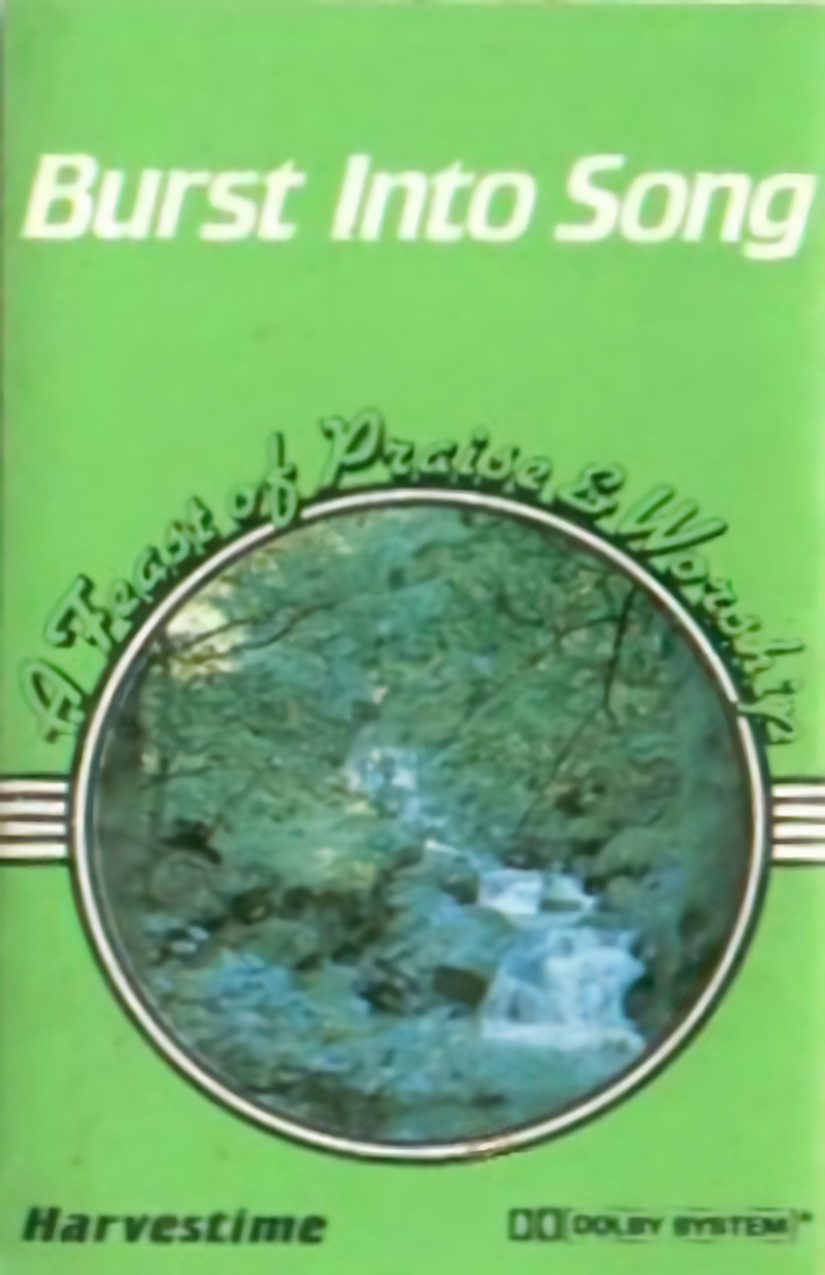Burst Into Song Rise album cover
